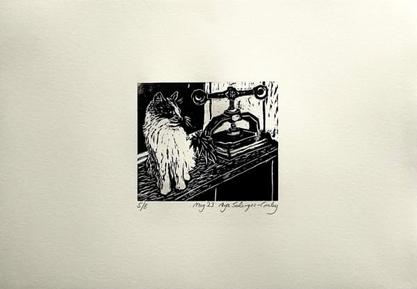 The Printmaker's Cat