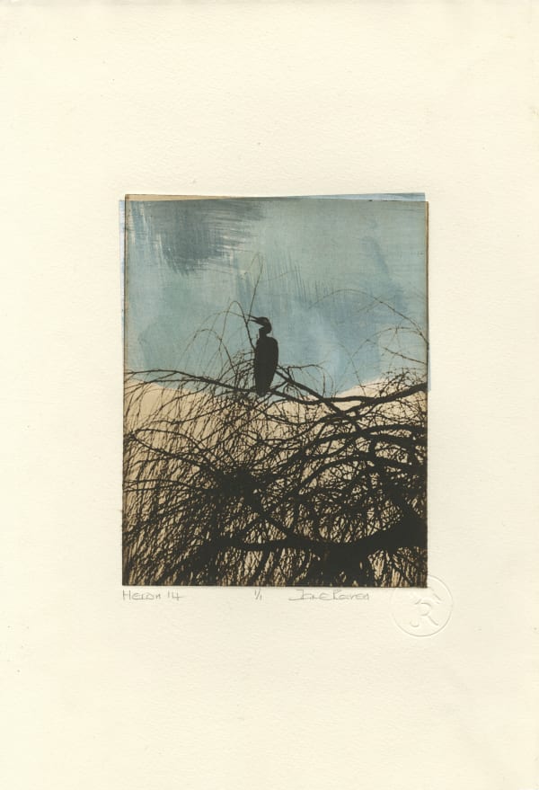 Heron 14