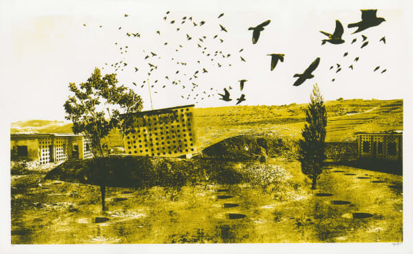 Migrations