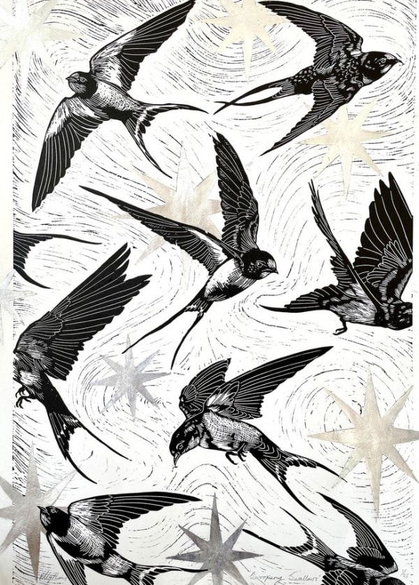 Swooping Swallows