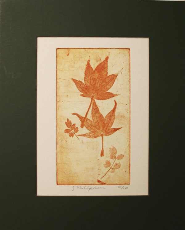 Japanese Maple