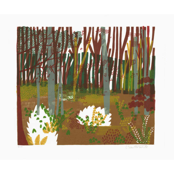 Louise Smurthwaite - Forest, 2013