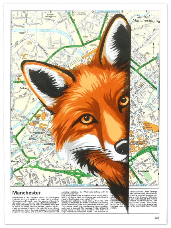 Stephen Parker - CITY FOX, 2025