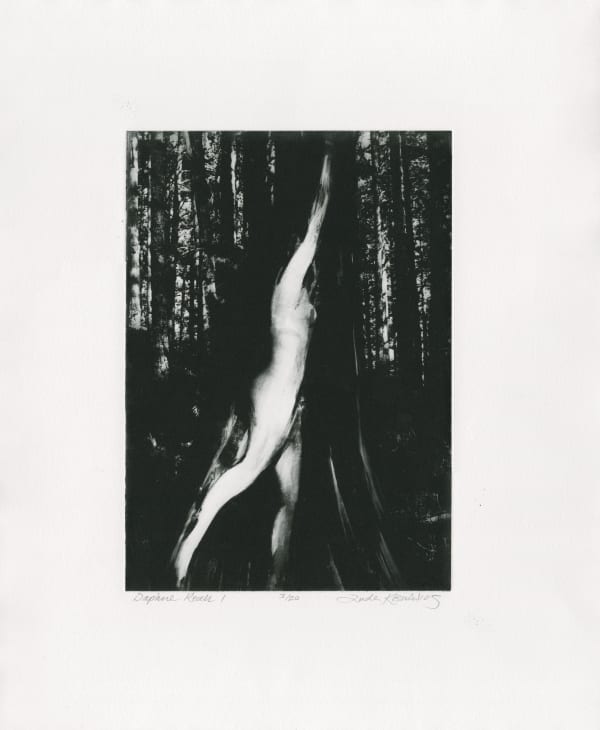 Daphne Reach I