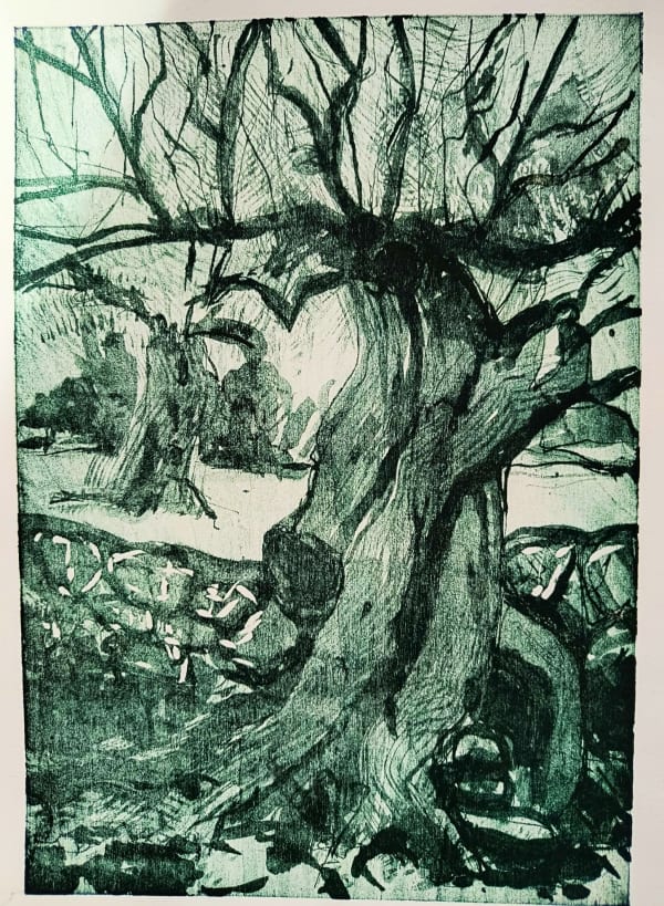 Karen Shewan - Olive Trees, 2025