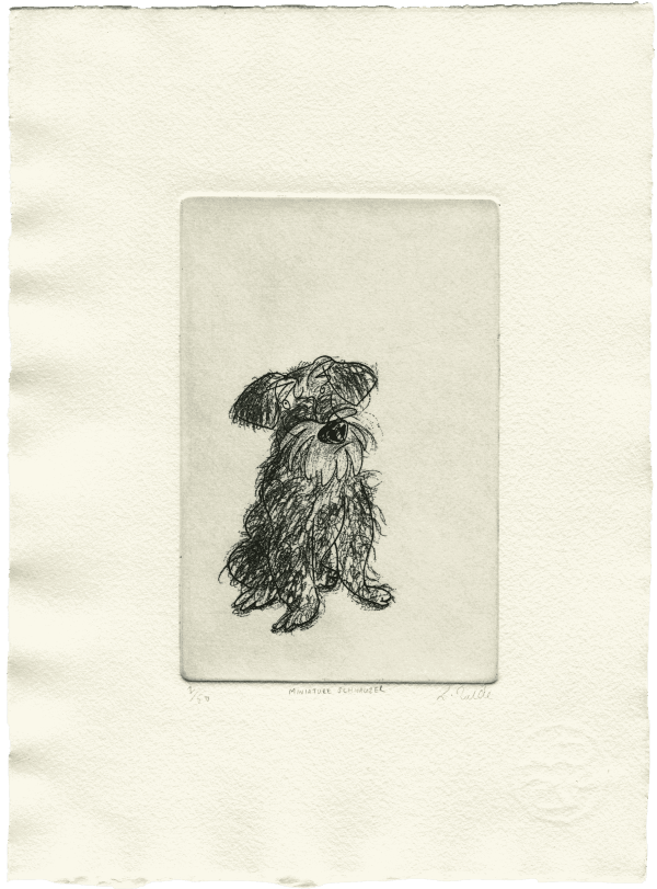 Miniature Schnauzer