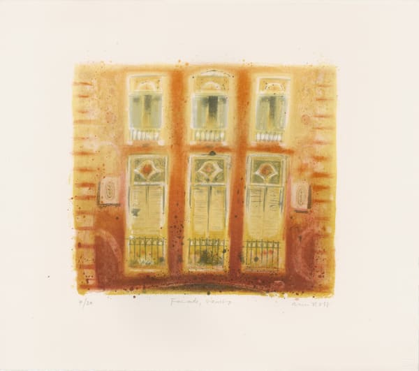 Ann Ross - Facade, Veneto, 2004