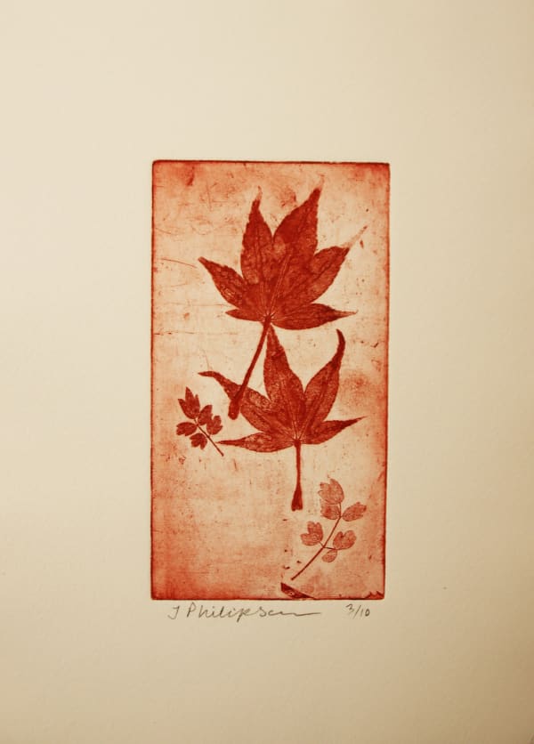 Japanese Maple