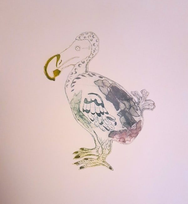 Dodo Extinction status: Extinct