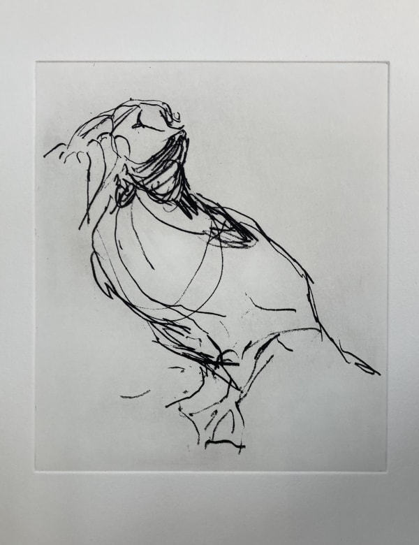 Puffin, 'Isk of May'