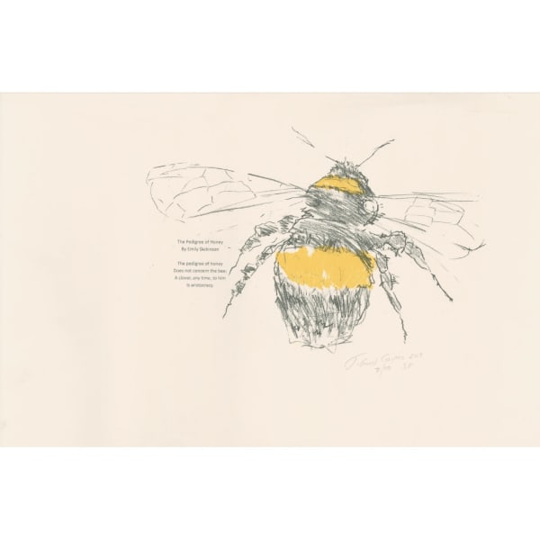 The Pedigree of Honey