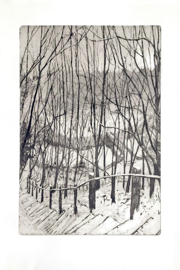 Winter Walk, Water of Leith