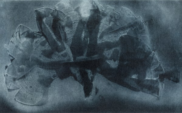 Martha Schlegel - Mesophyllum, 2024