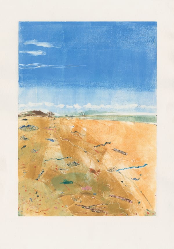 Doreen Boogert, Flotsam and Jetsam, Mersehead, 2020