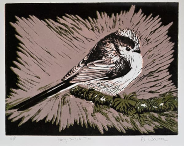 Deborah Warren - Long-tailed Tit, 2023