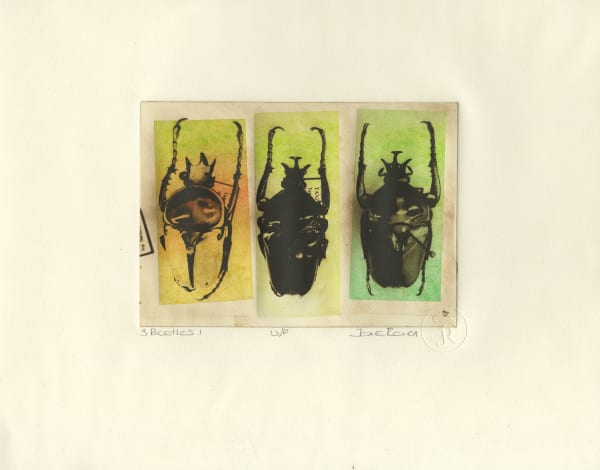 3 Beetles I