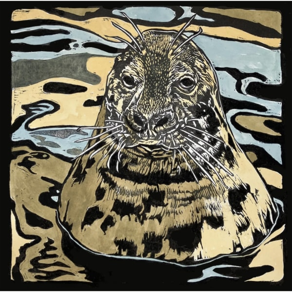 Claire MacDonald - Grey Seal, 2022