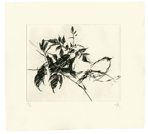 Sparrow Tree