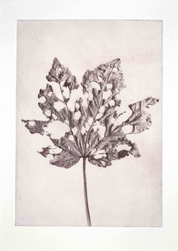 Jane Raven, Autumn Leaf 1, 2019