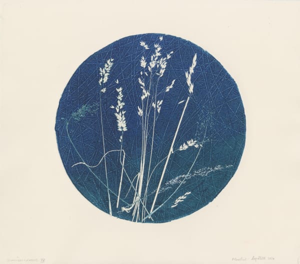 Scottish Grasses 4