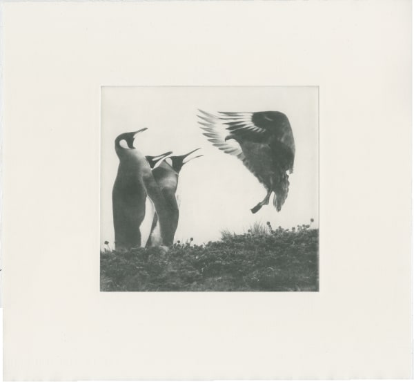 Ursula Pretsch, Too Close, 2020