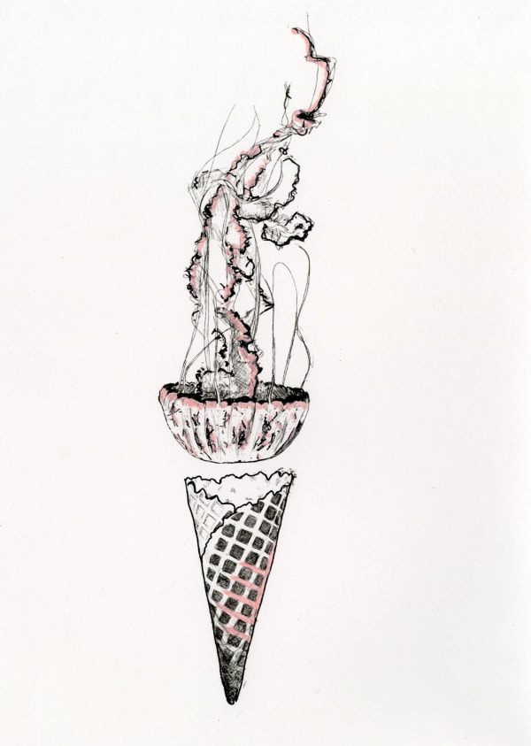 Jellyfish & Icecream