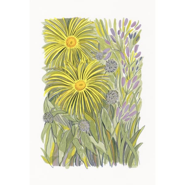 Susie Wright - Inula, 2023
