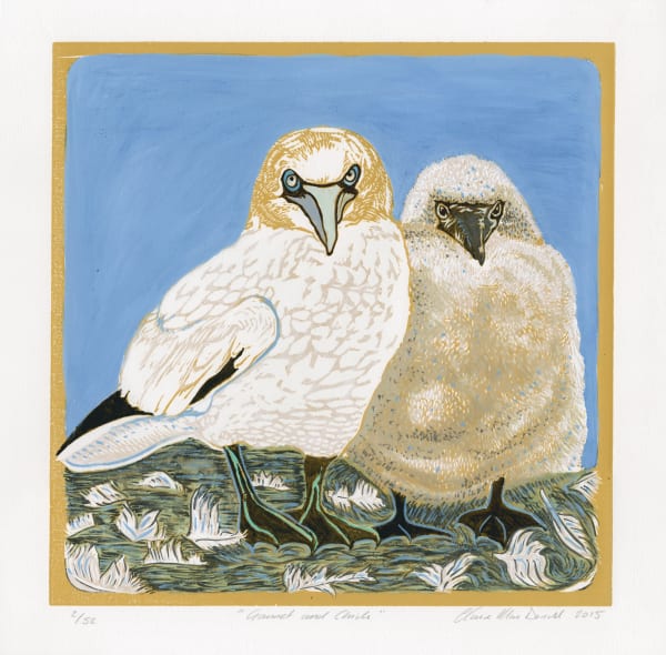 Gannet and Chick