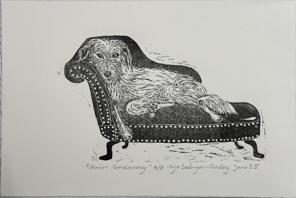 Minor Aristocracy