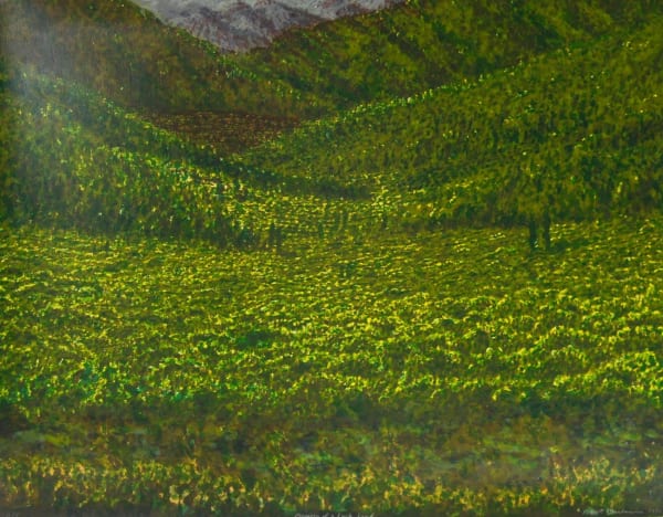 Memory of a Lush Land