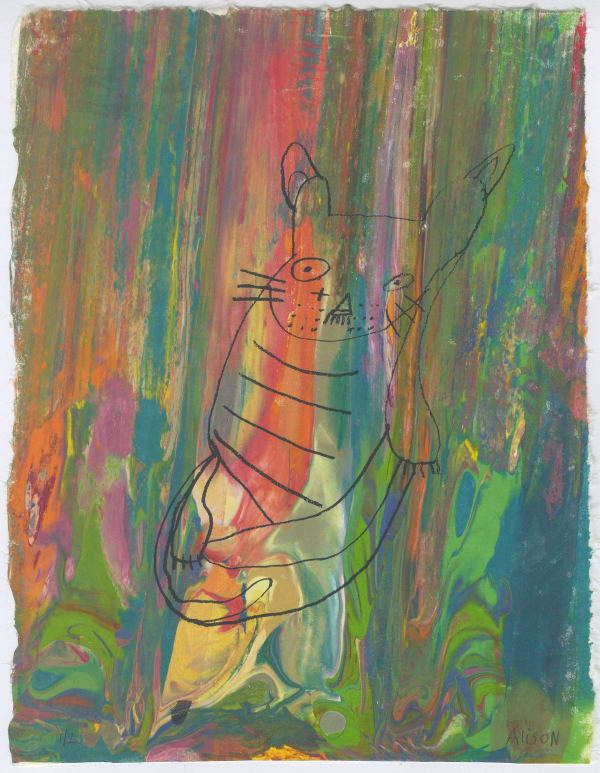 Colourful Cat