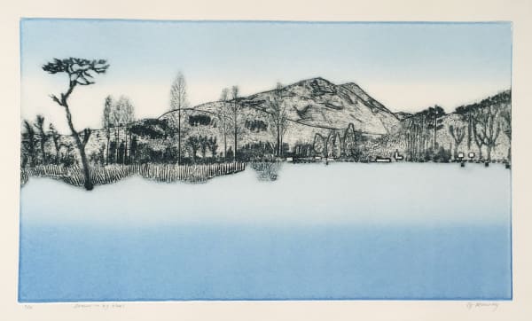Gillian Murray, Drawn in by Blues, 2020