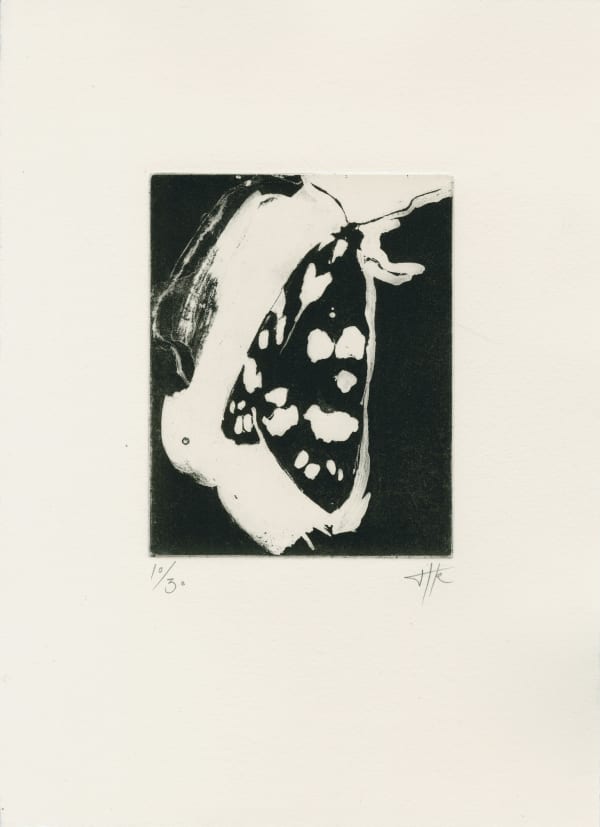Scarlet Tiger Moth