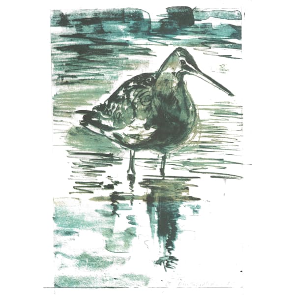 Black Tailed Godwit