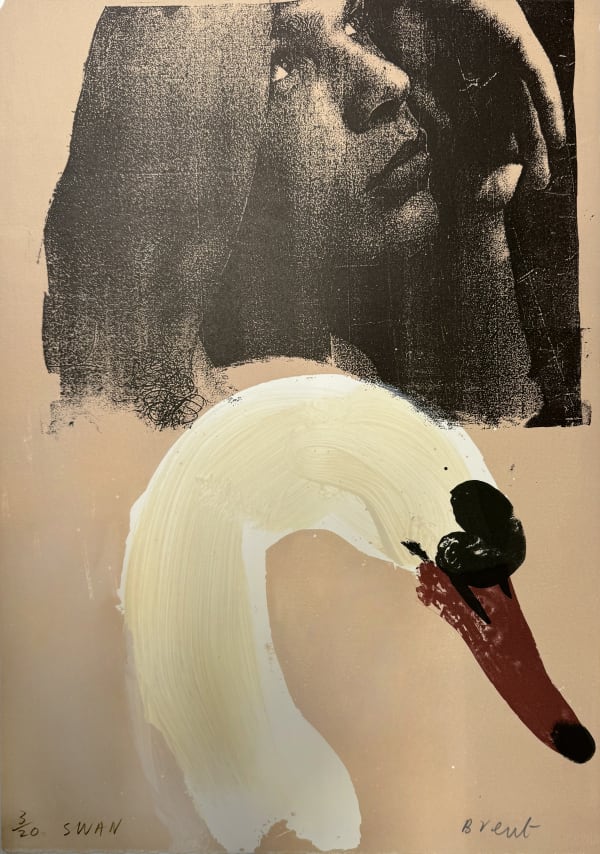 Brent Millar - Swan, 2004