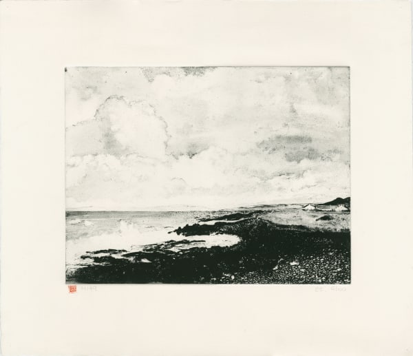 Ross Flemington - Model 149, 2016