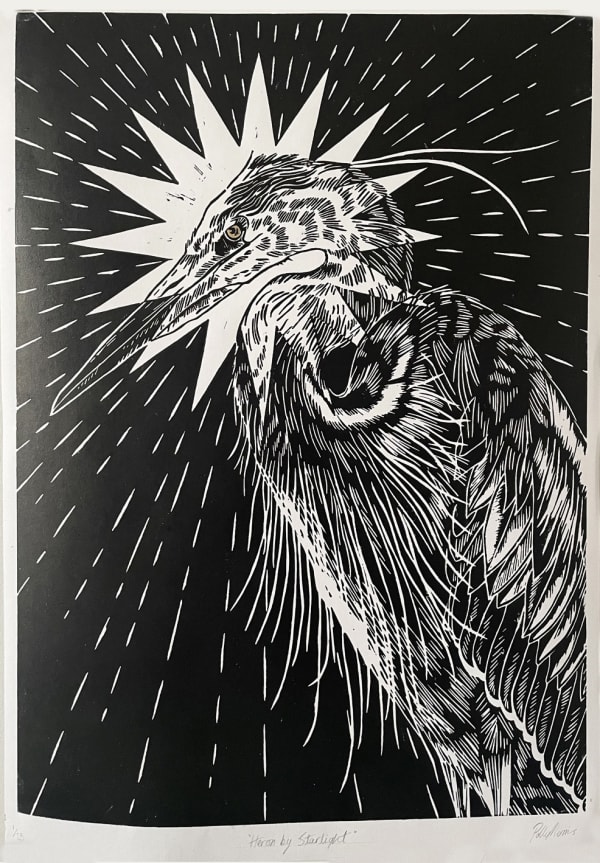 Heron by Starlight