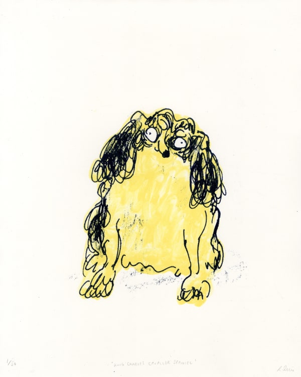 King Charles Cavalier Spaniel