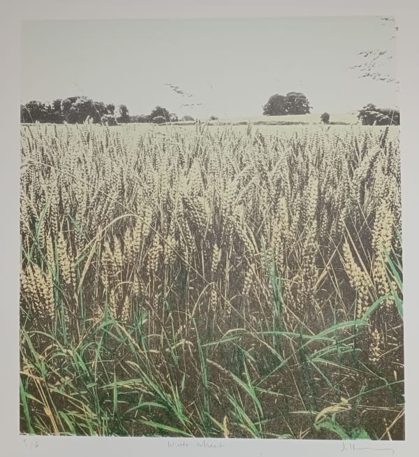 Harvest Festival: Winter Wheat