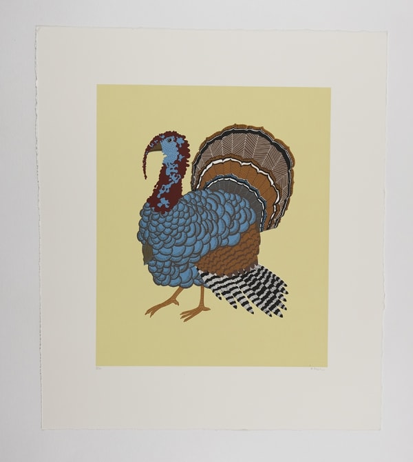 Alice Melvin, Turkey, 2009