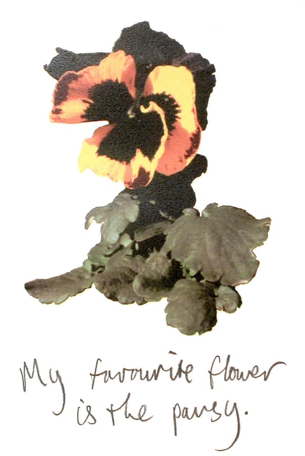 Graham Fagen, My Favourite Flower is the Pansy, 2004