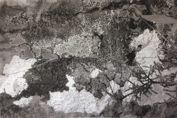 Ravi Agarwal, Landscape Series 1, 2018