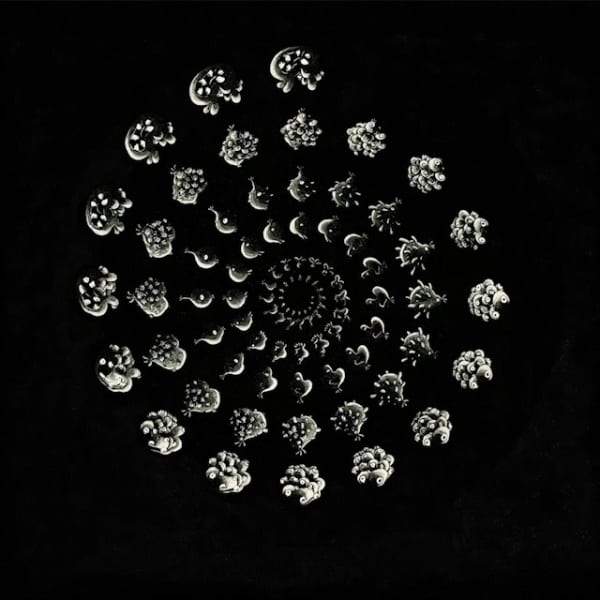 Member Spotlight: Louise Wilde