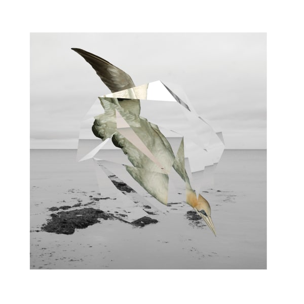 VIEW: Selected EP Editions