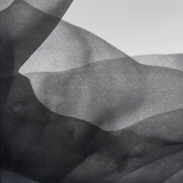 Body Landscape (detail), screenprint