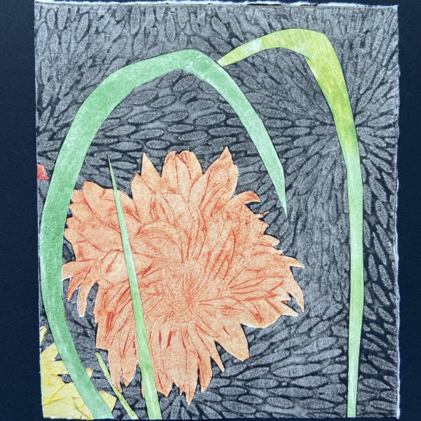 Chrysanthemum