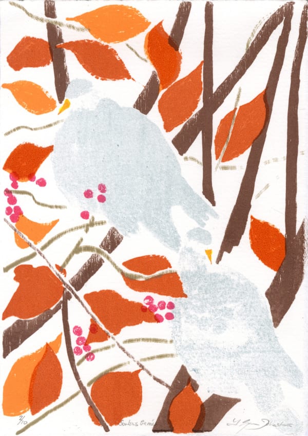 Sorbus Berries, 2022