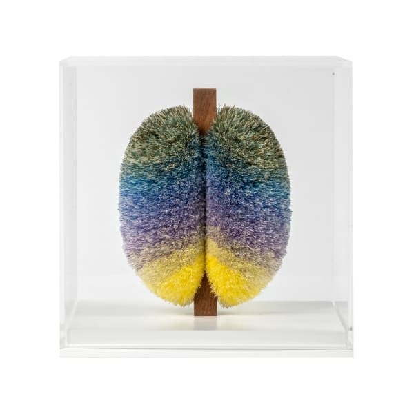 Thread Spectrum No.3, 2022 by Will Cruickshank Perspex cube, sewing thread and wood 20 x 20 x 20 cm