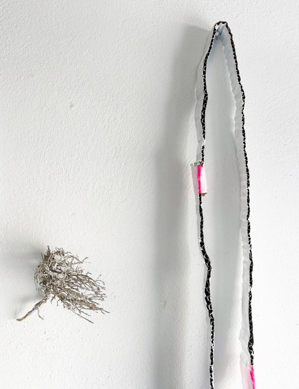 © Amy Stephens