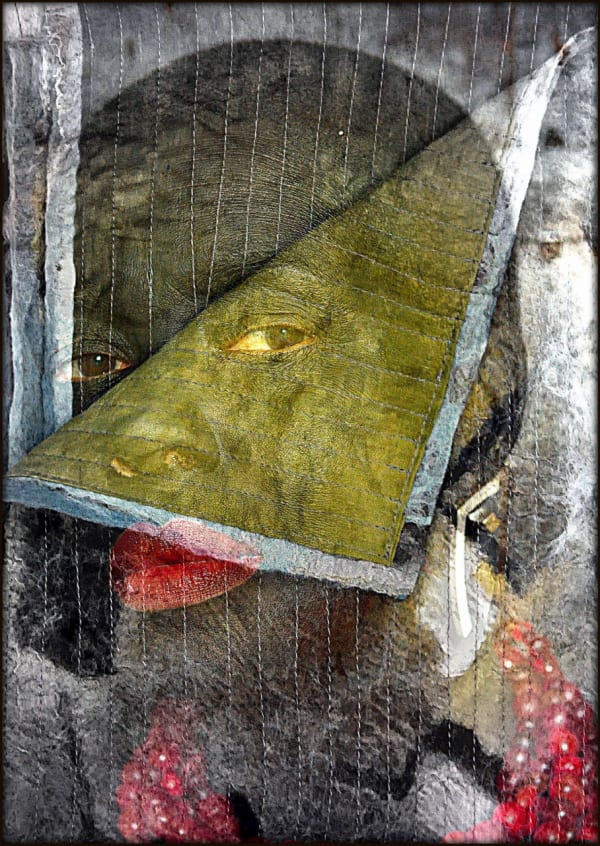 Margaret Scott ICU (print) 1/4, 2016 Photo print of handfelted collage 50 x 70cm £800